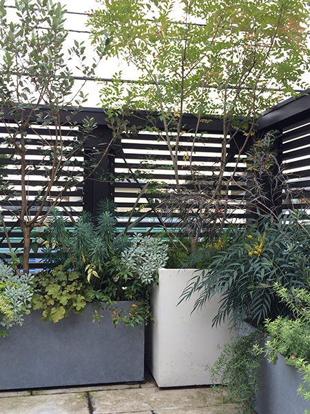 ガーデニング施工実績 個人住宅 埼玉