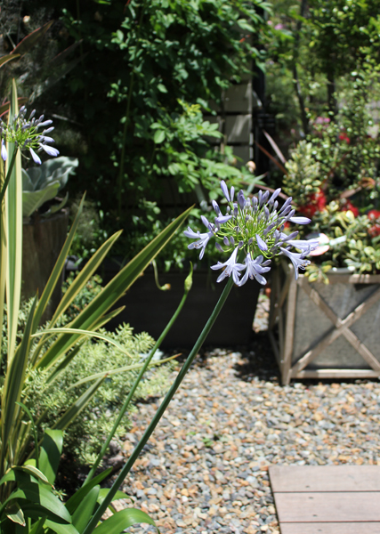 ガーデニング施工 東京都三鷹市