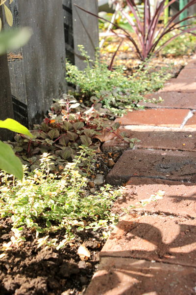 ガーデニング施工実績 個人住宅 東京